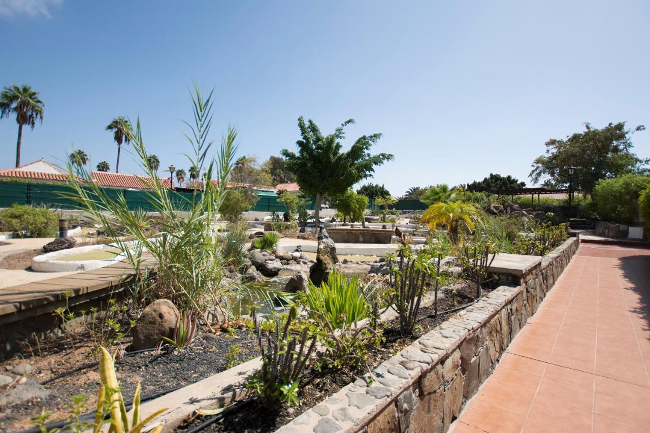 Bungalow Serenity Garden Maspalomas  Exterior foto