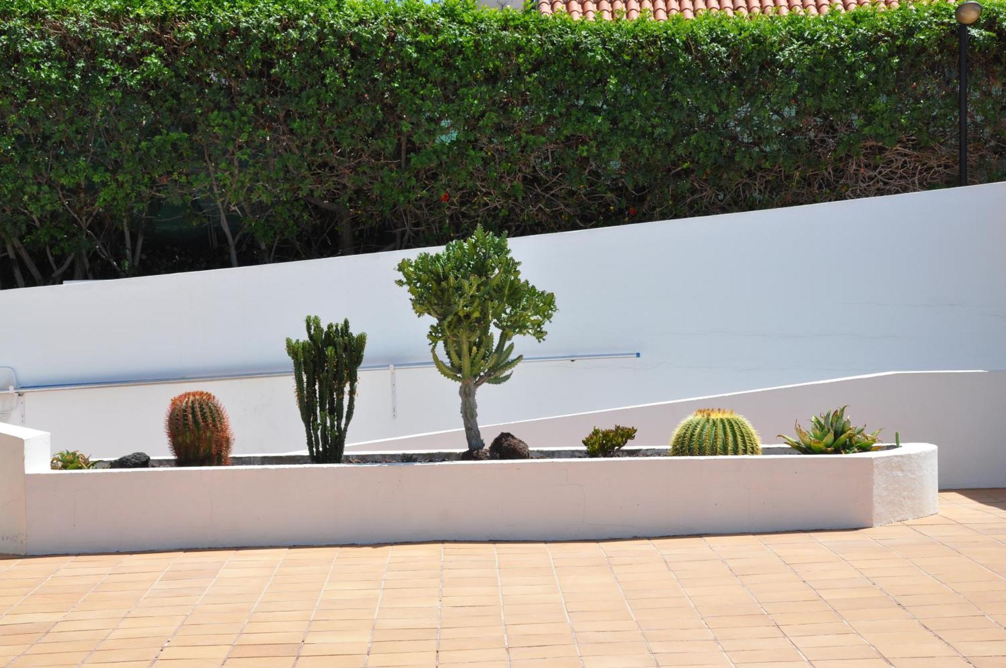 Bungalow Serenity Garden Maspalomas  Exterior foto