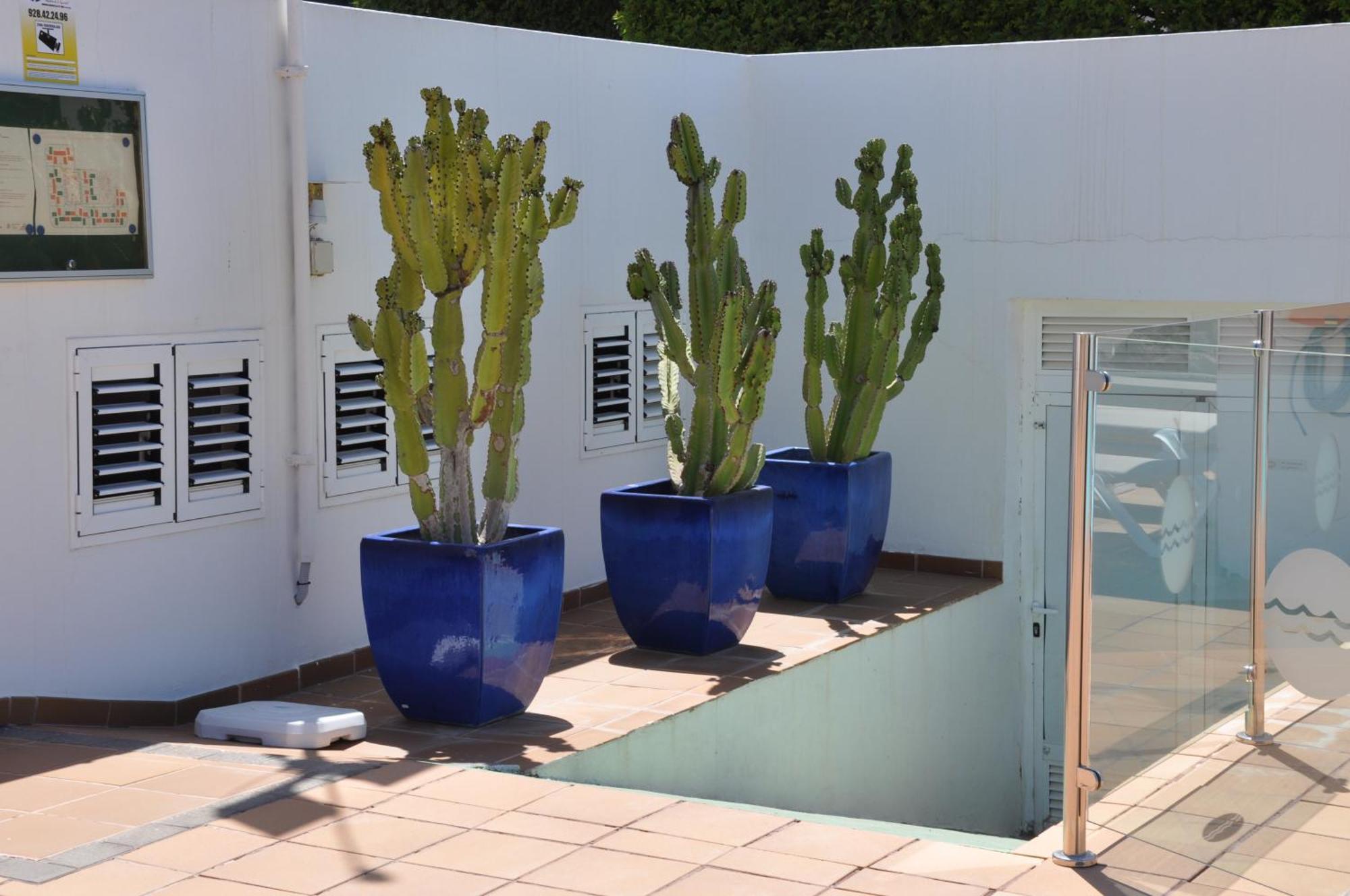 Bungalow Serenity Garden Maspalomas  Exterior foto
